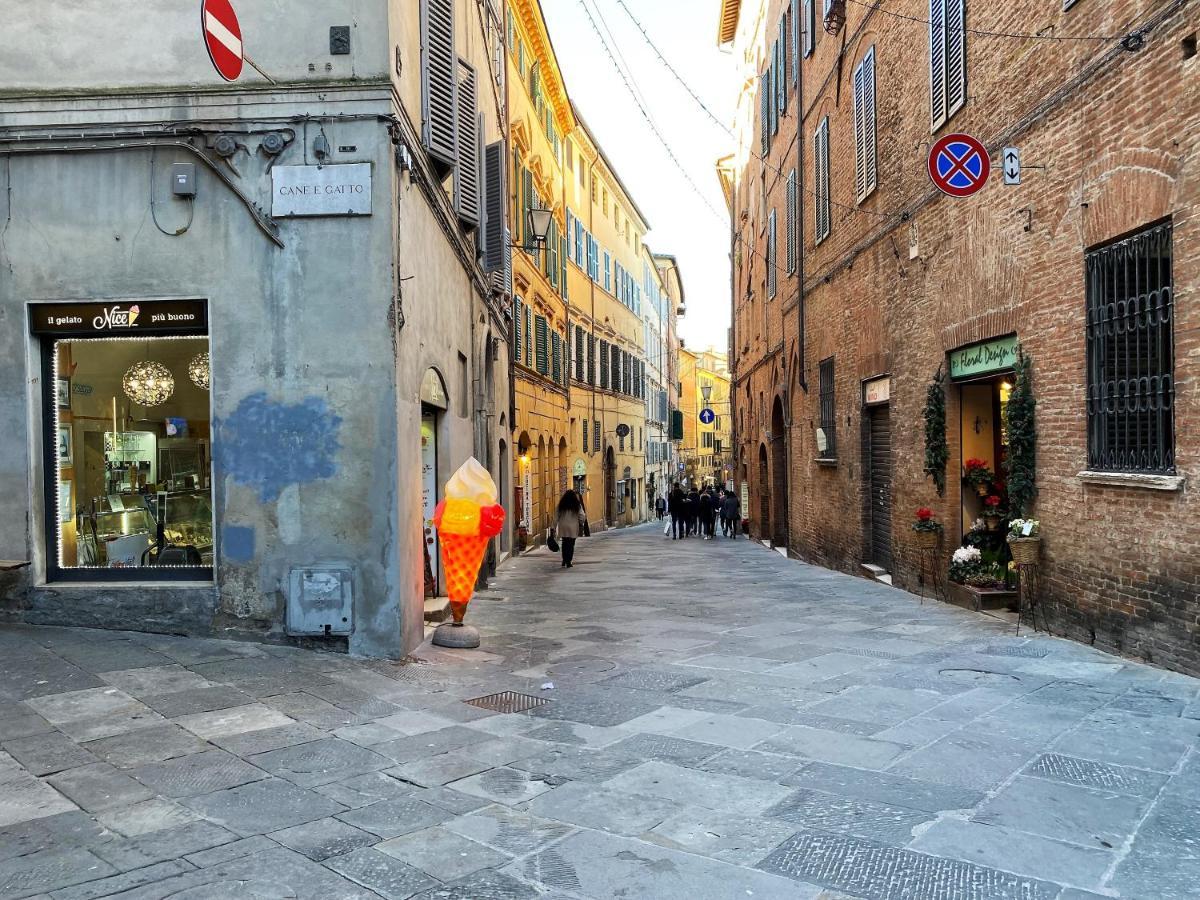 IL MONDO DI CLAIRE-cozy&charm Siena Zewnętrze zdjęcie