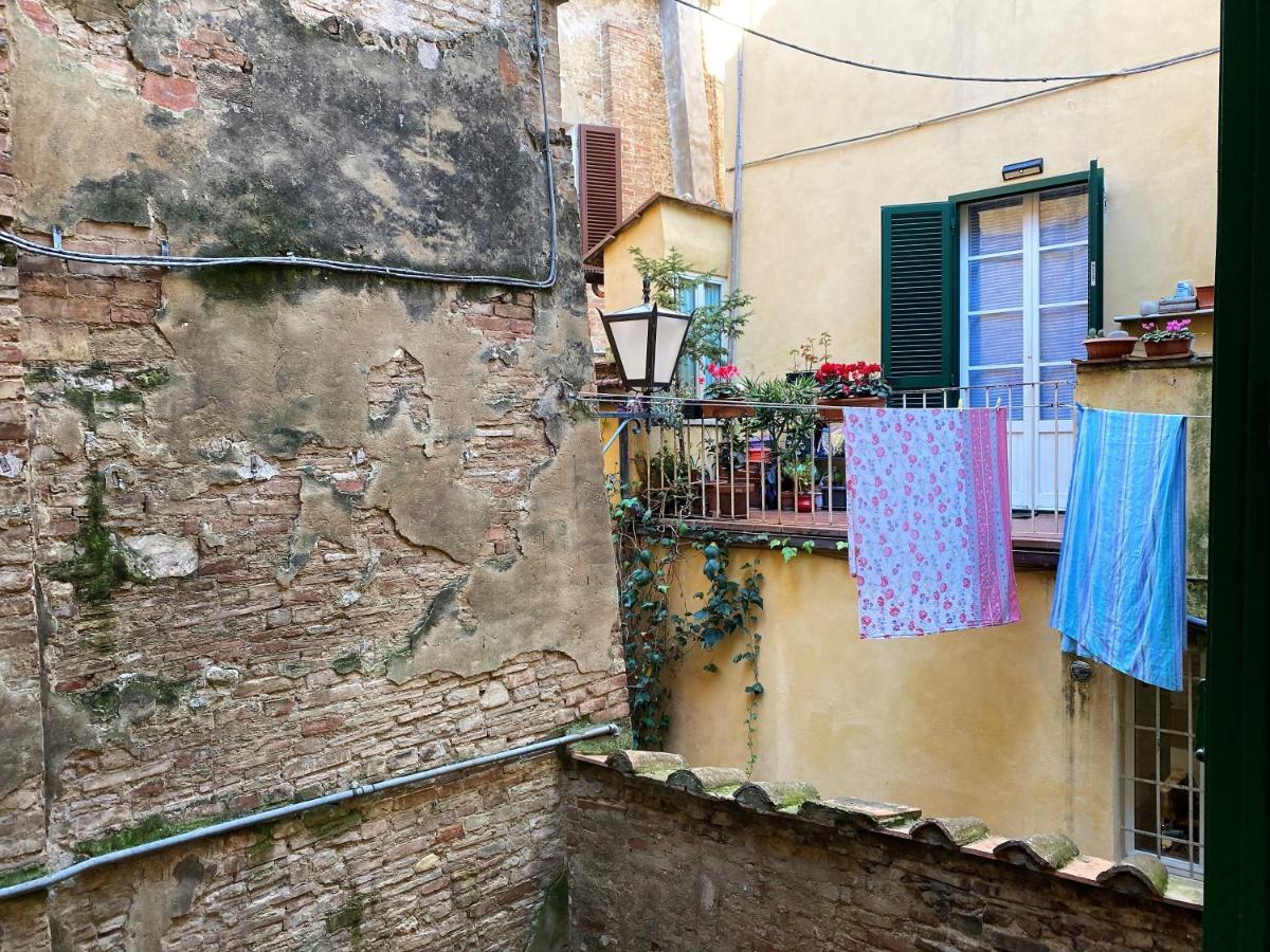 IL MONDO DI CLAIRE-cozy&charm Siena Zewnętrze zdjęcie